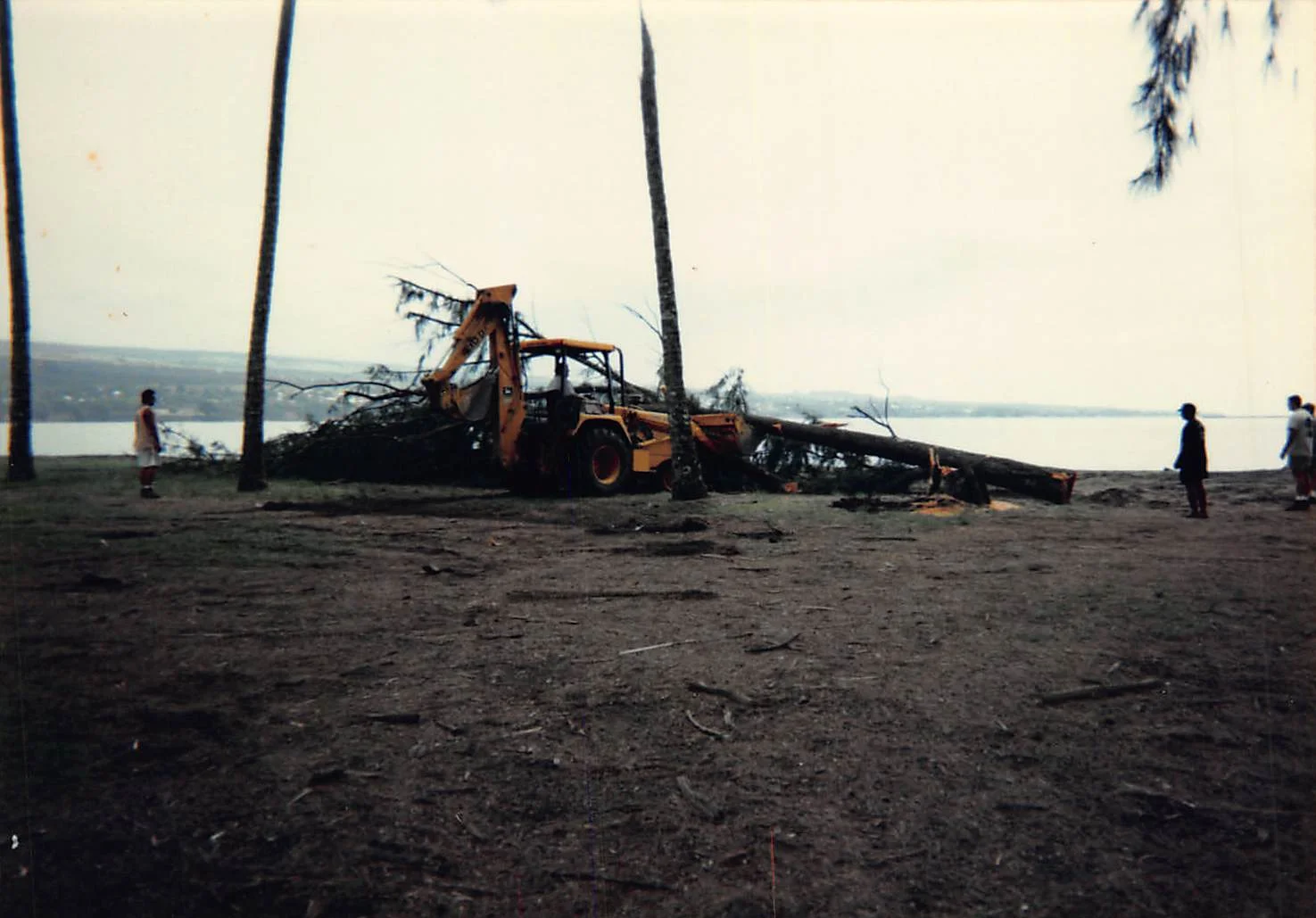 KCC1996_016.jpg