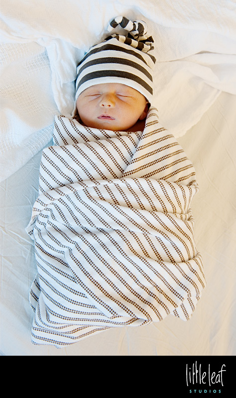 littleleaf_beckett_04.jpg