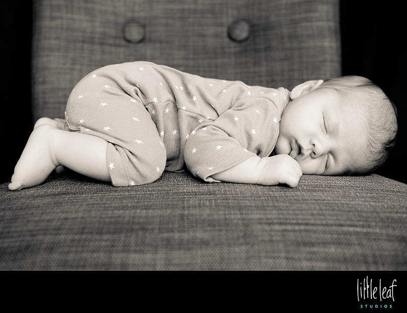 littleleaf_beckett_13.jpg