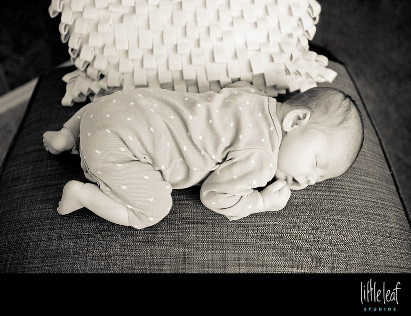 littleleaf_beckett_14.jpg