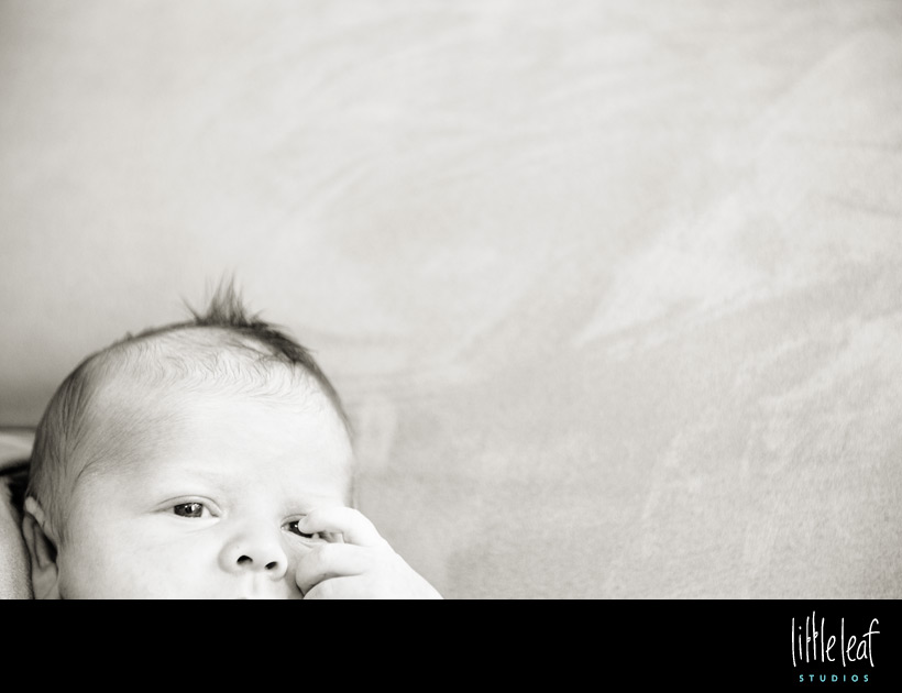 littleleaf_beckett_11.jpg
