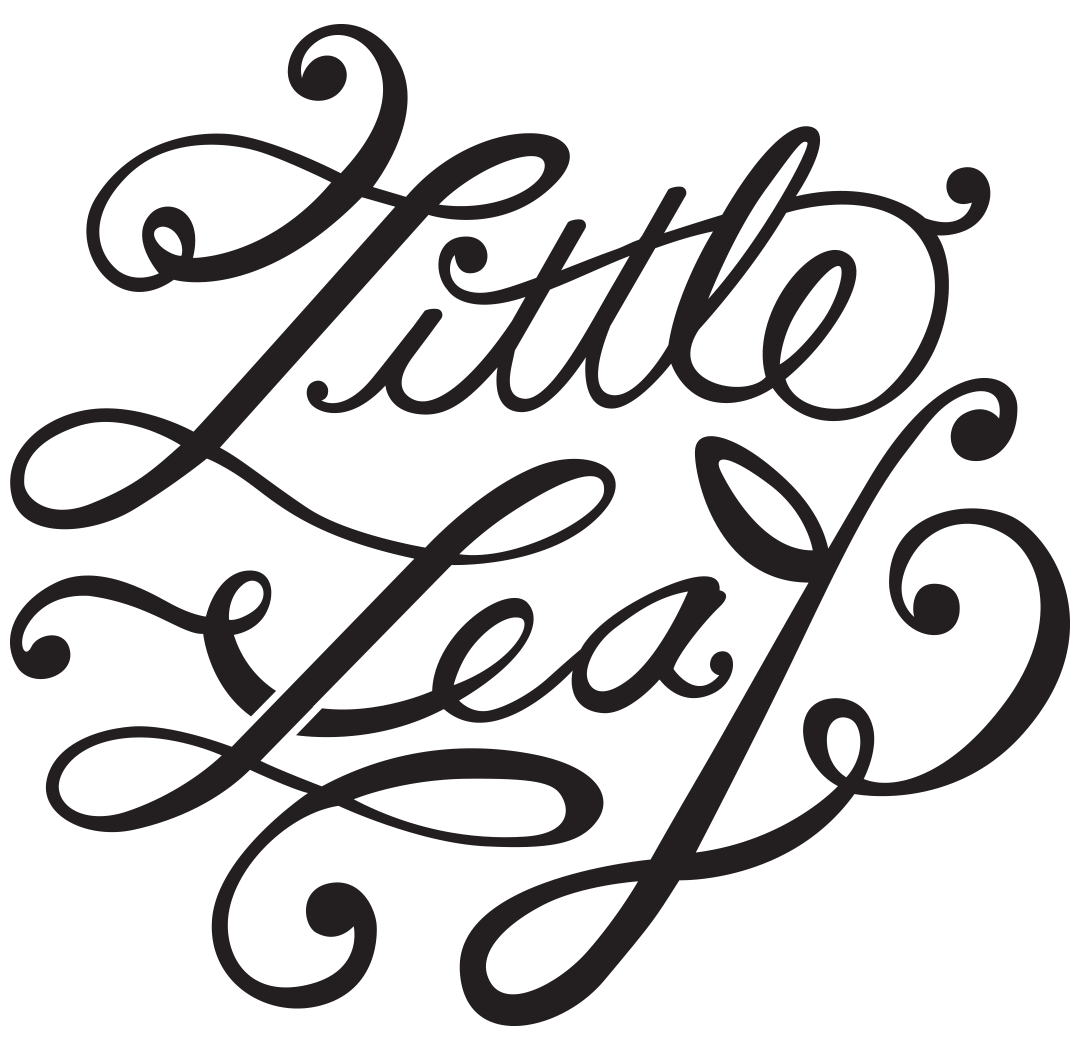 Little Leaf Studios - Photography & Graphic Design in South Orange NJ