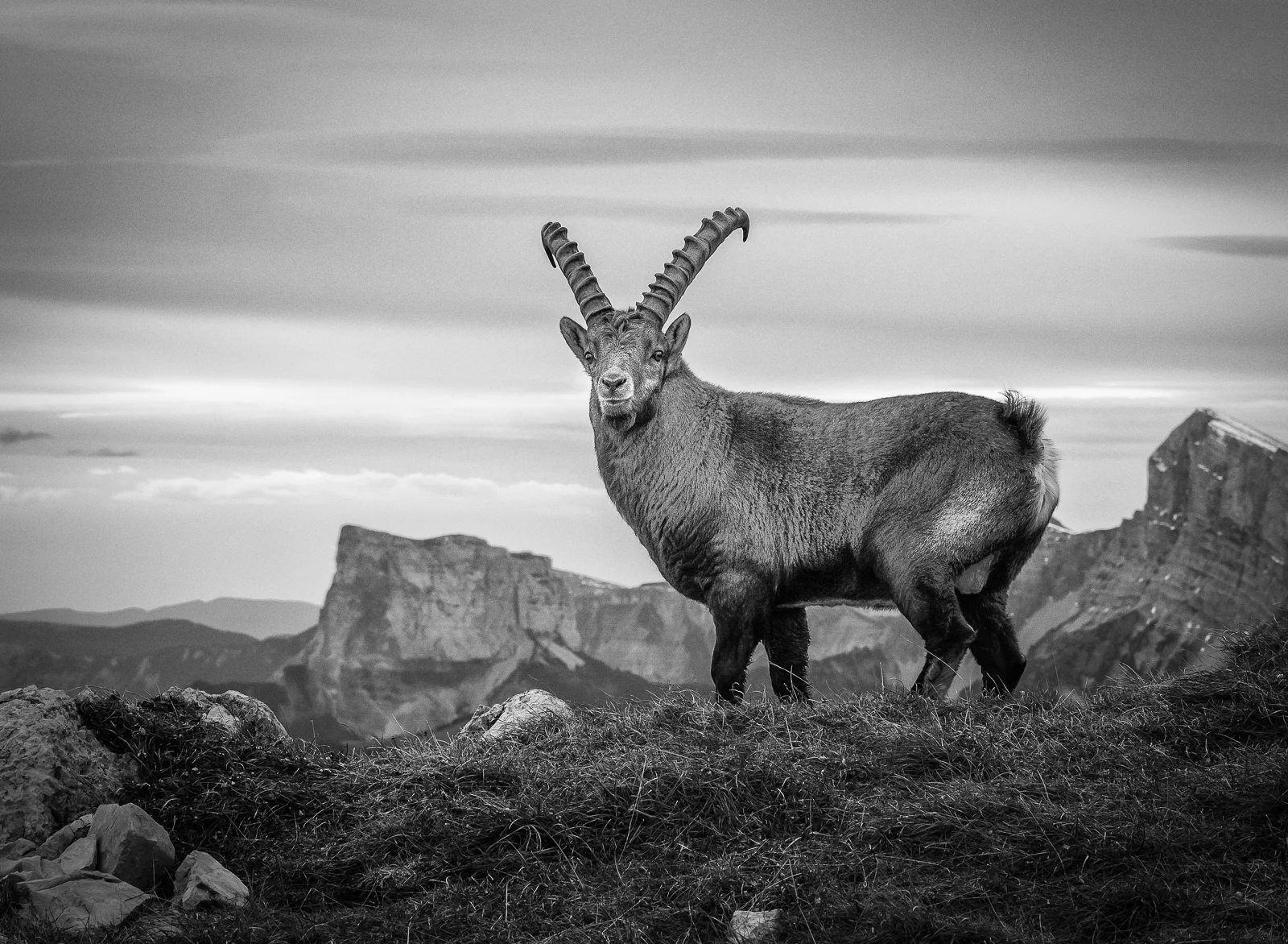 TeteChaudieres-27-Edit-2.jpg