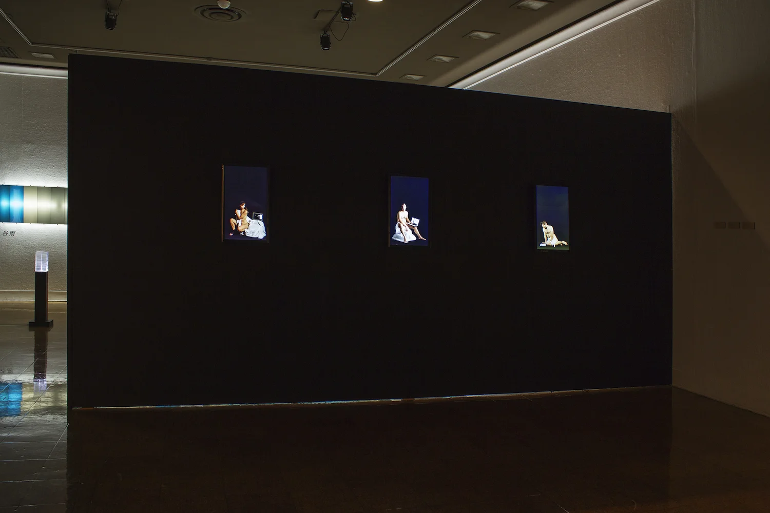 View of selected video portraits.