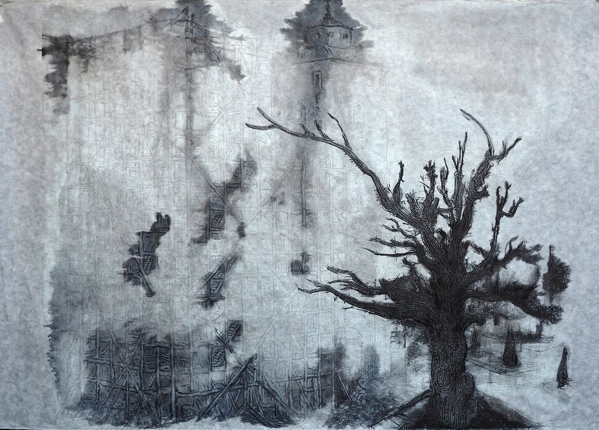 View of Augmentation 03