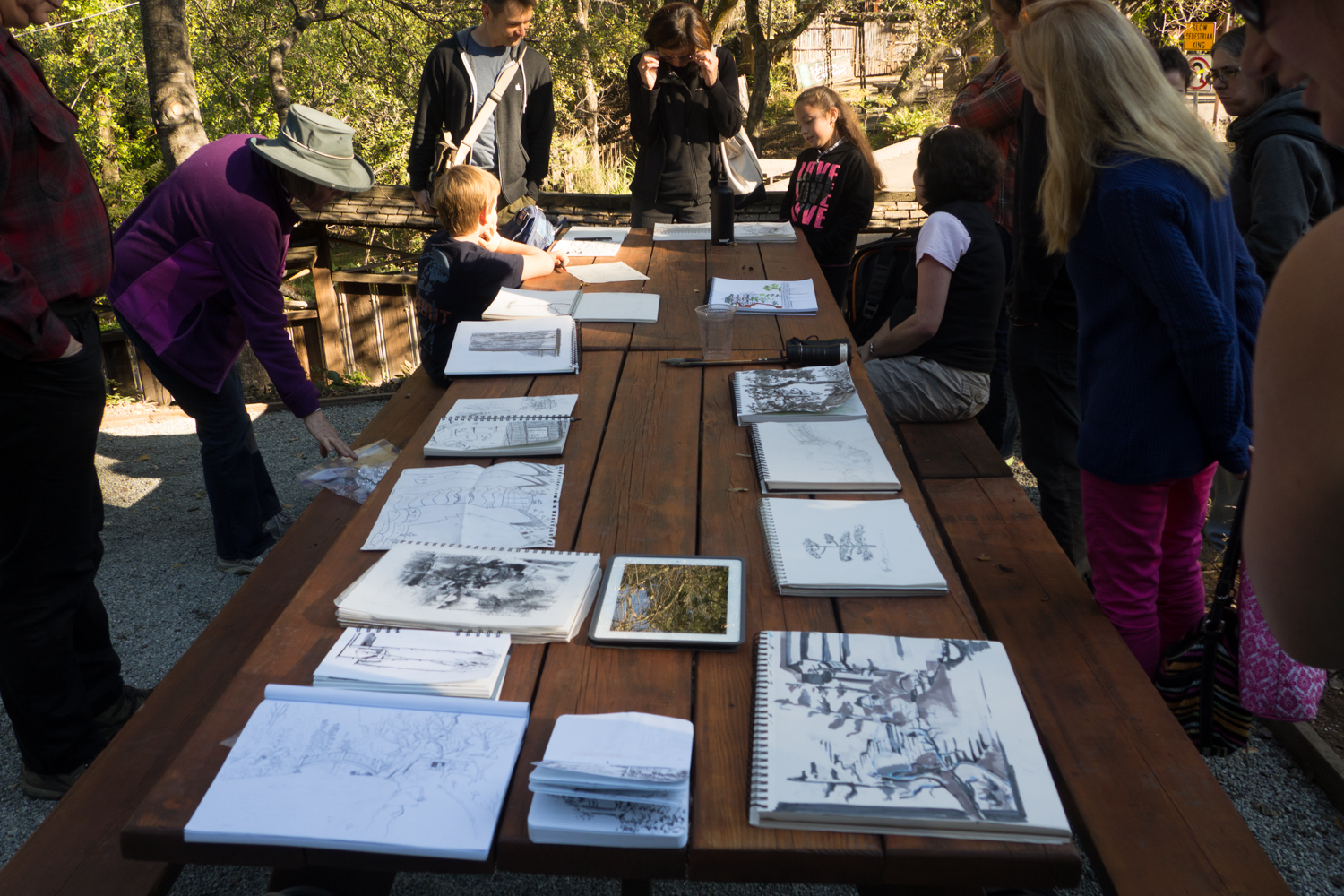 2015 - 01 - 24 - sbus - hakone gardens-30.jpg