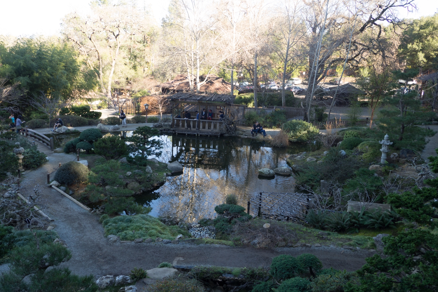 2015 - 01 - 24 - sbus - hakone gardens-21.jpg