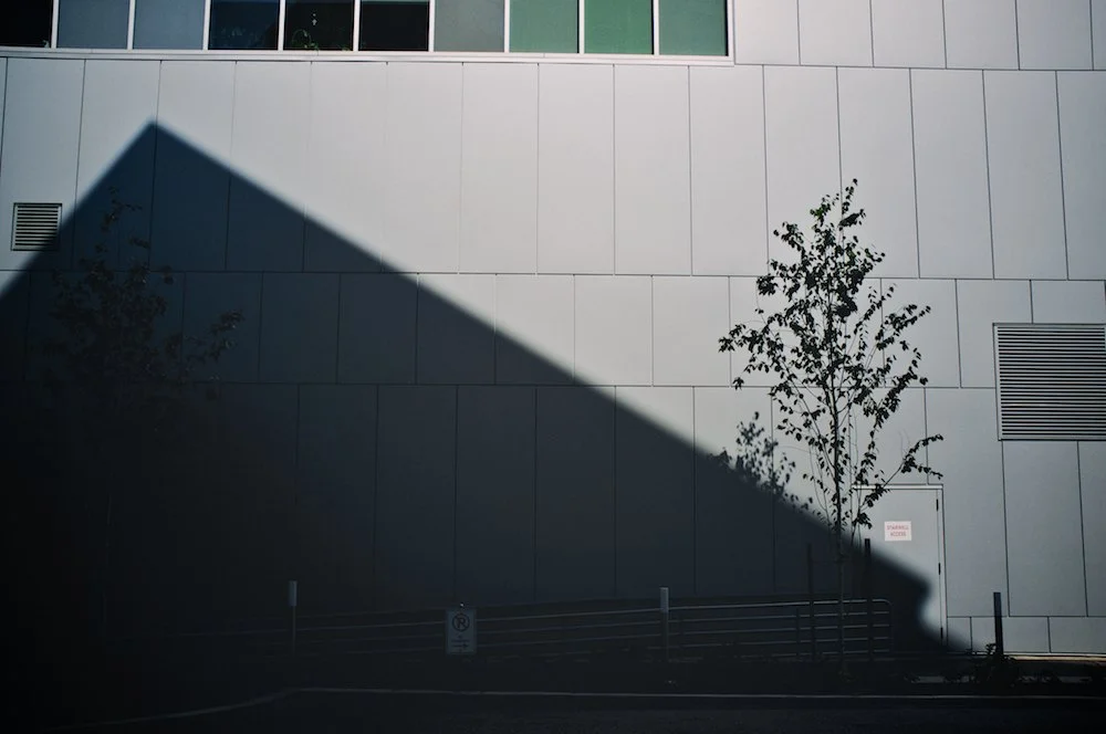 Transient