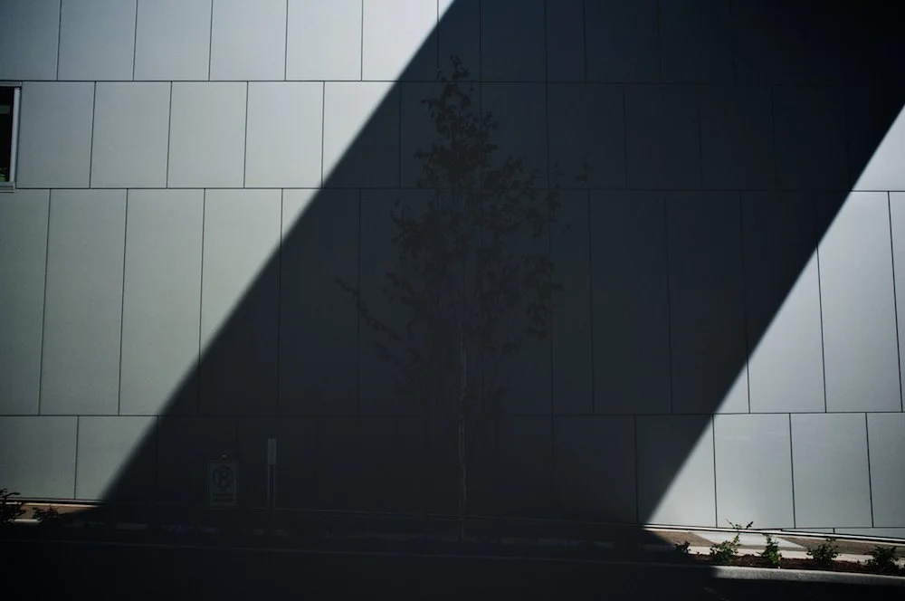 Transient