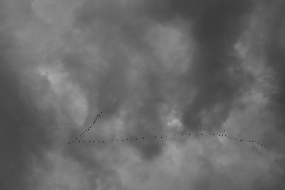 Transient