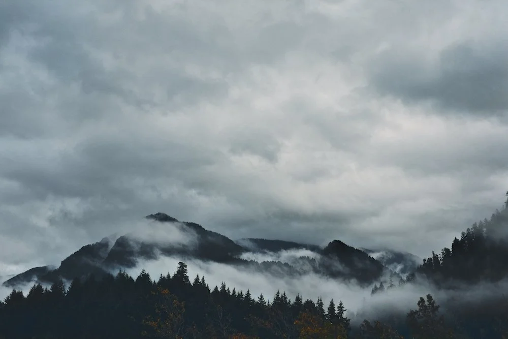Transient