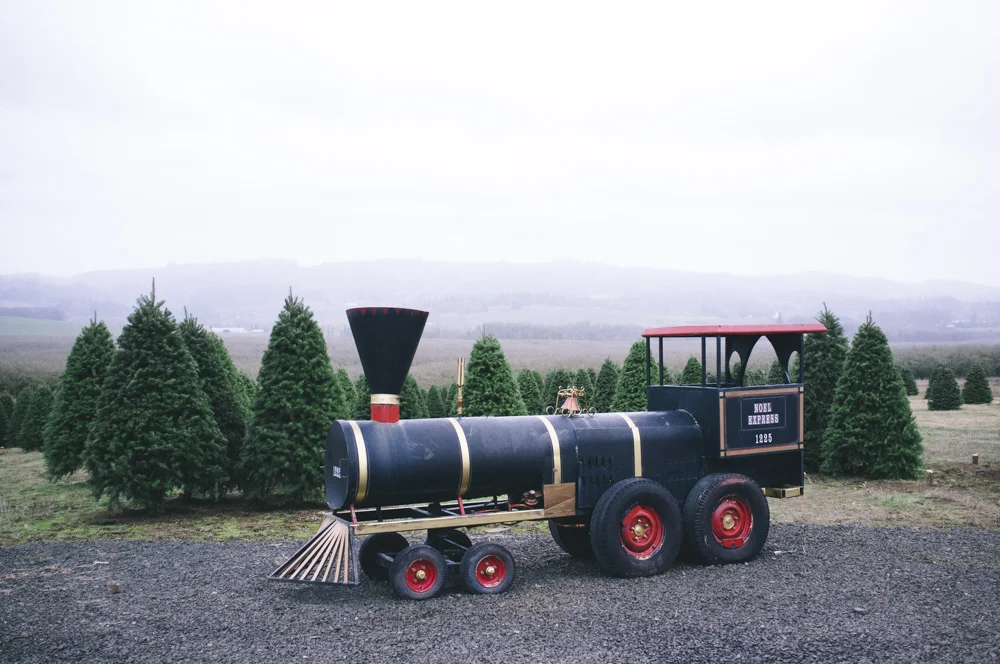 Christmas-Tree-Farm-0003.jpg