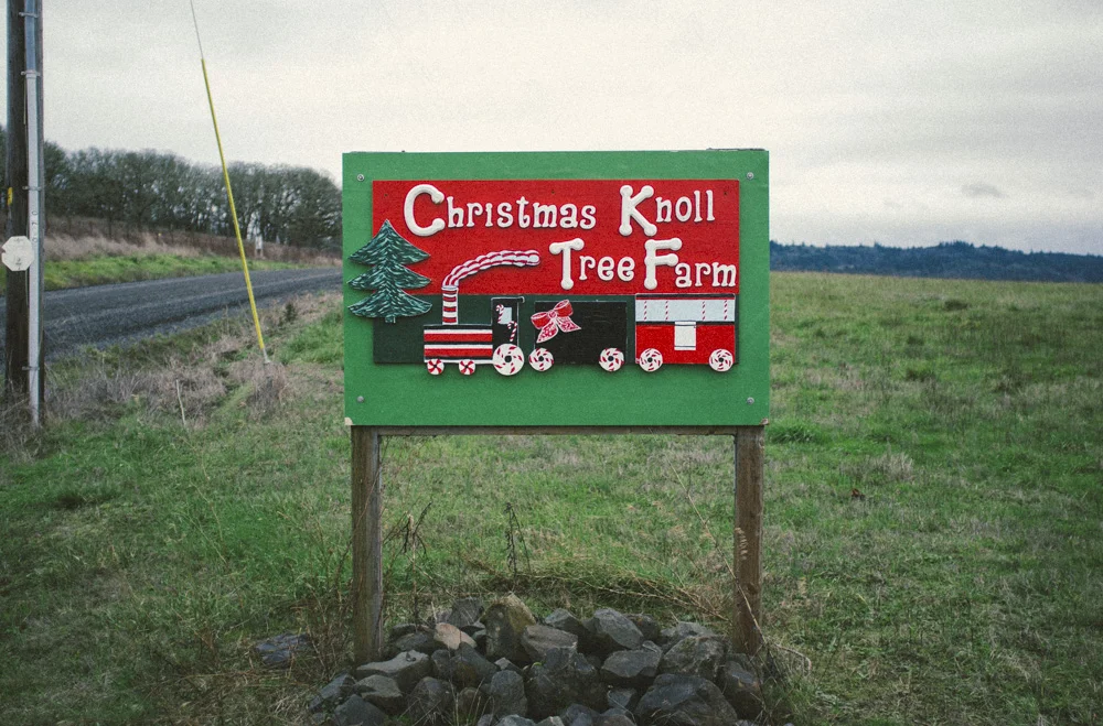 Christmas-Tree-Farm-0013.jpg