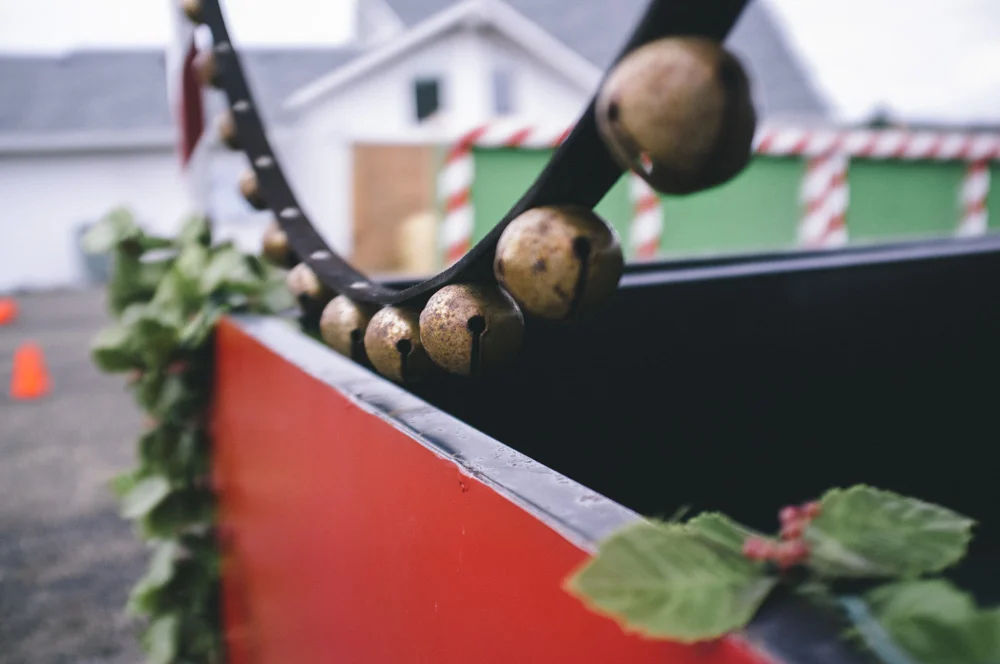 Christmas-Tree-Farm-0010.jpg