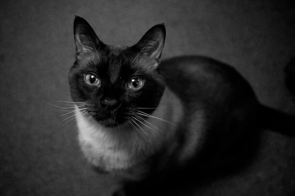 X100s-Black-White-Test-Images-Salem-Oregon 007.jpg