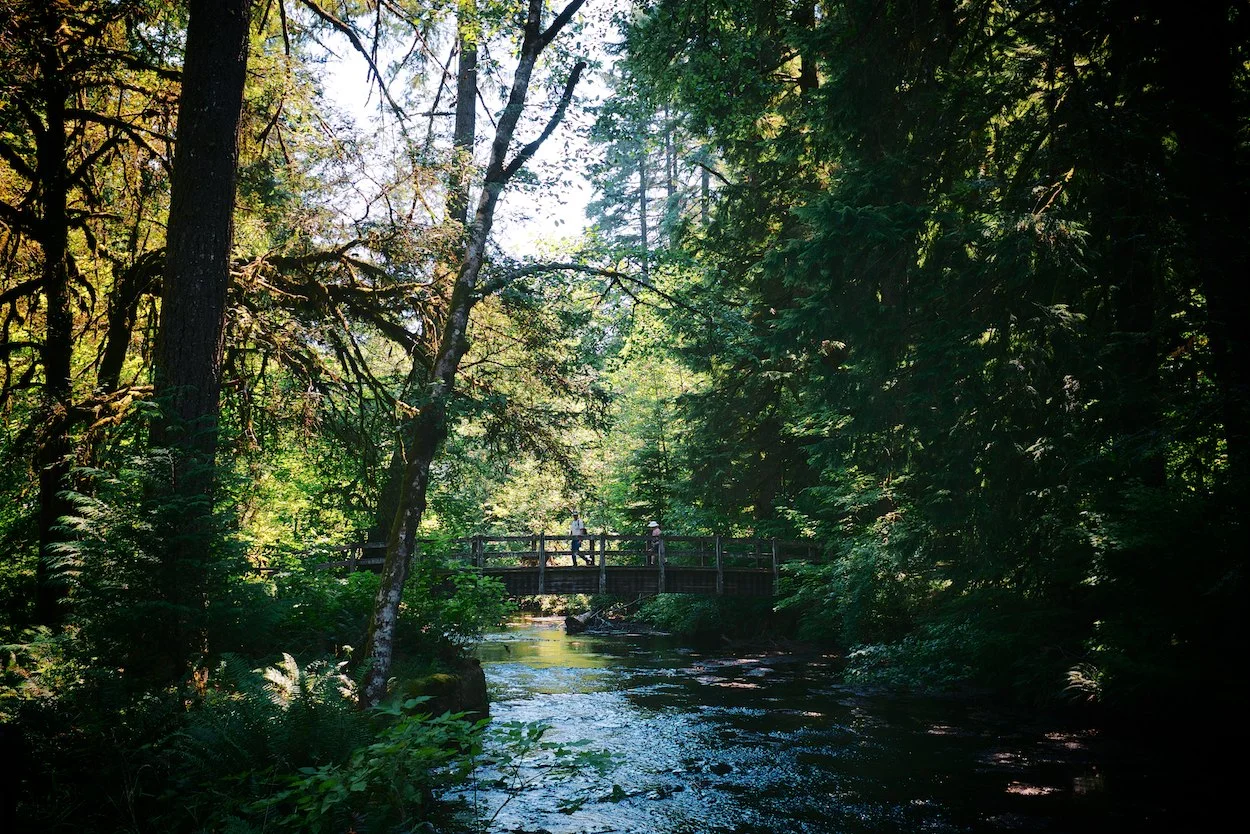 2013-08-04-Silver Falls with Nick & Caroline-001.jpg