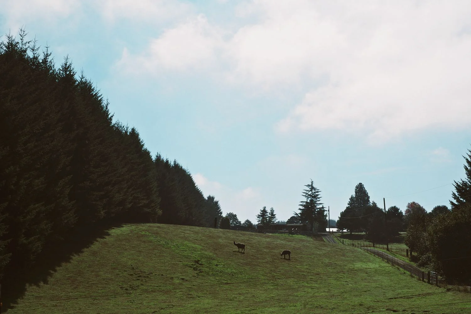 2013-10-04-Country Roads-001.jpg