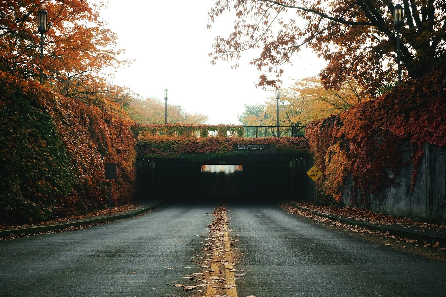 2013-10-23-oggy Morning -Bush Park-Downtown -Minto-115.jpg