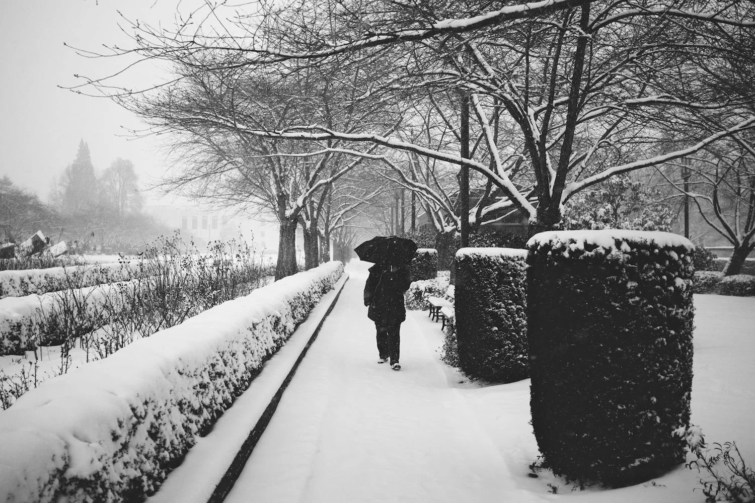 2014-02-07-Snow Storm-001.jpg