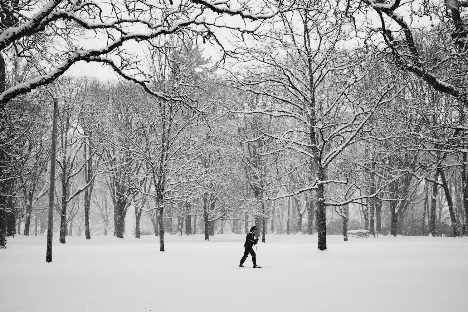 2014-02-07-Snow Storm-018.jpg