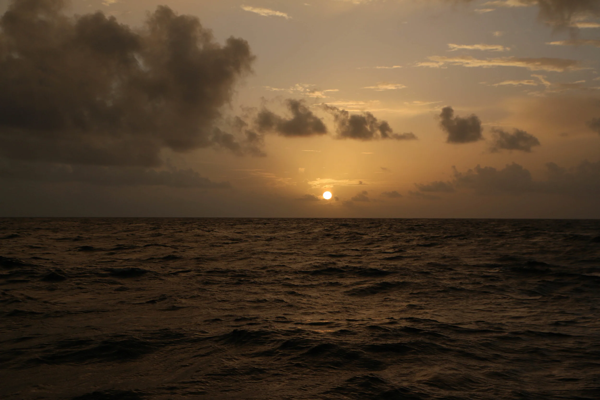 IMG_5219.jpg