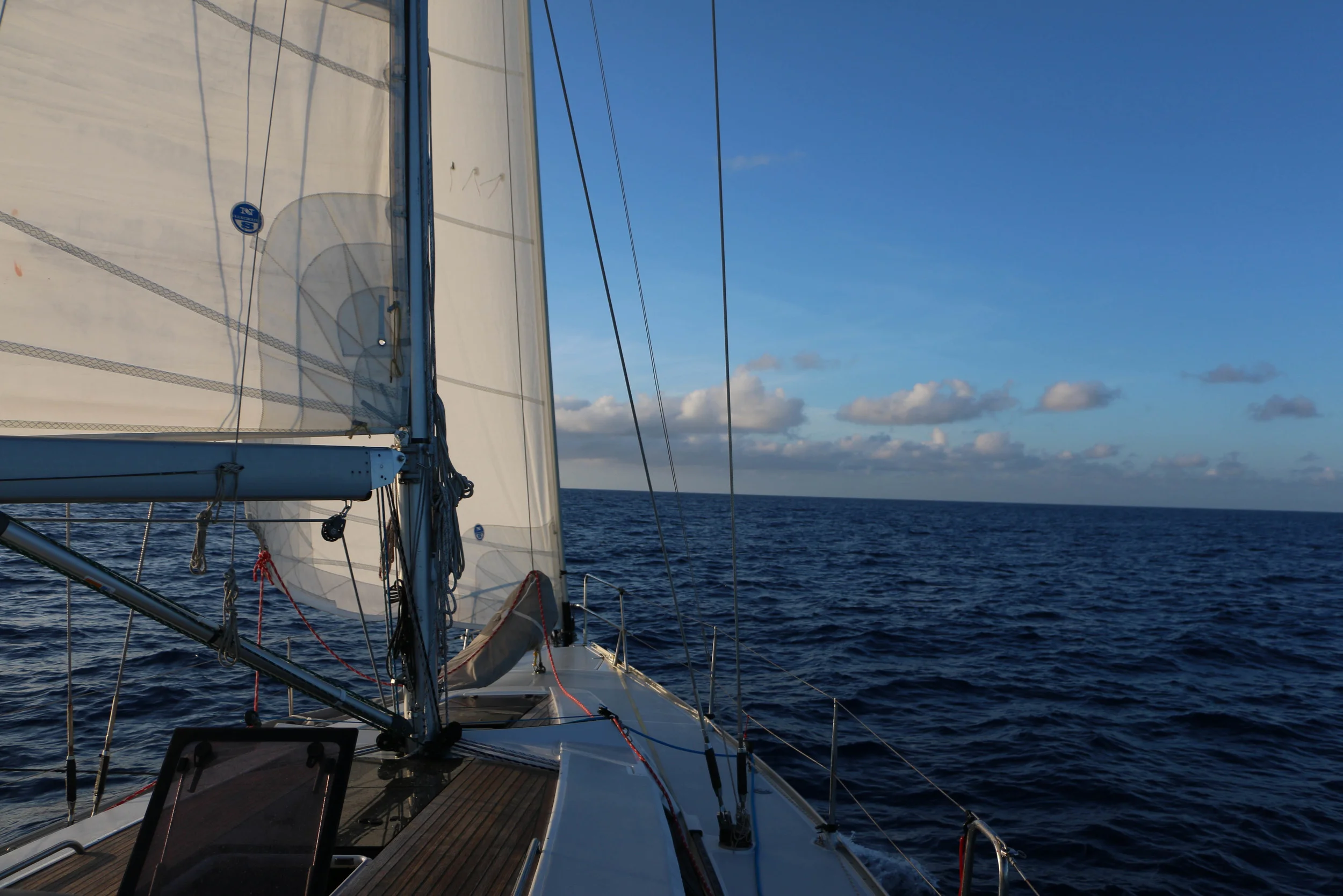 IMG_5623.jpg