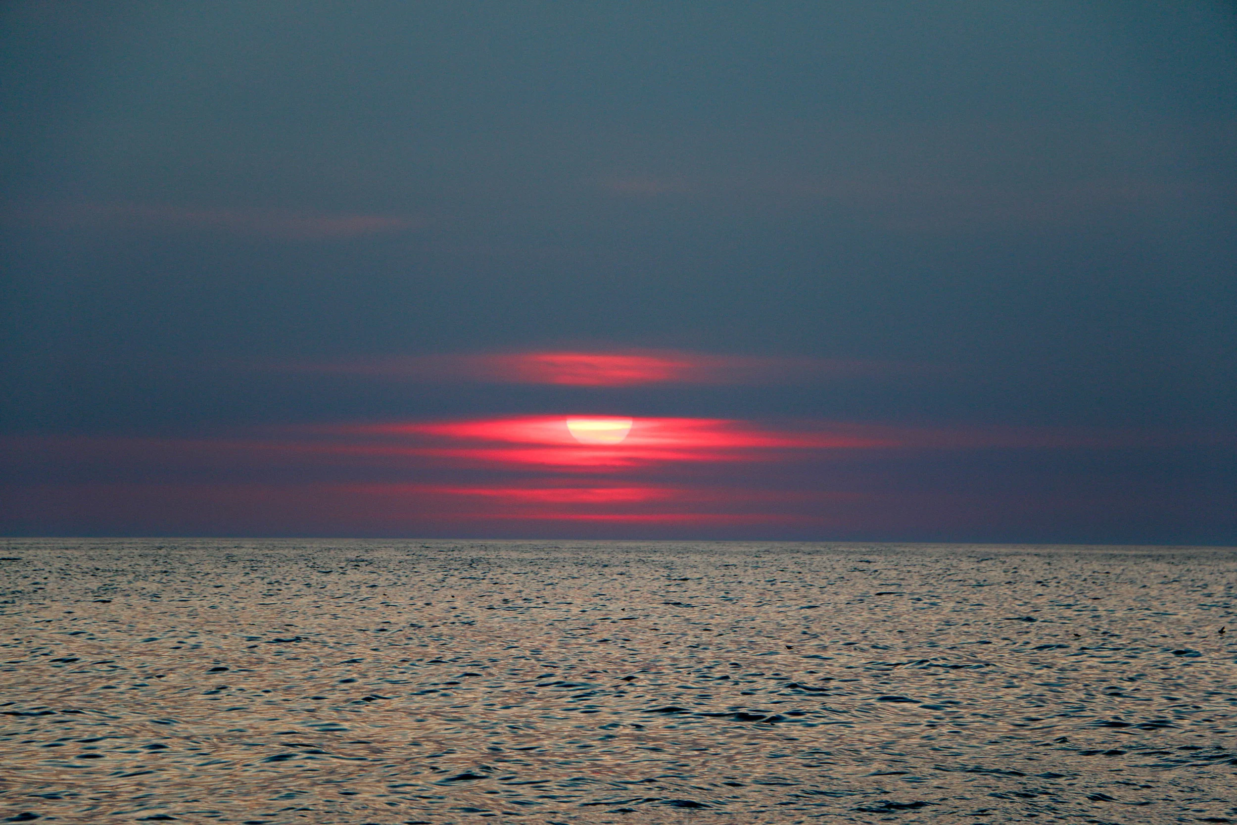 IMG_5711.jpg