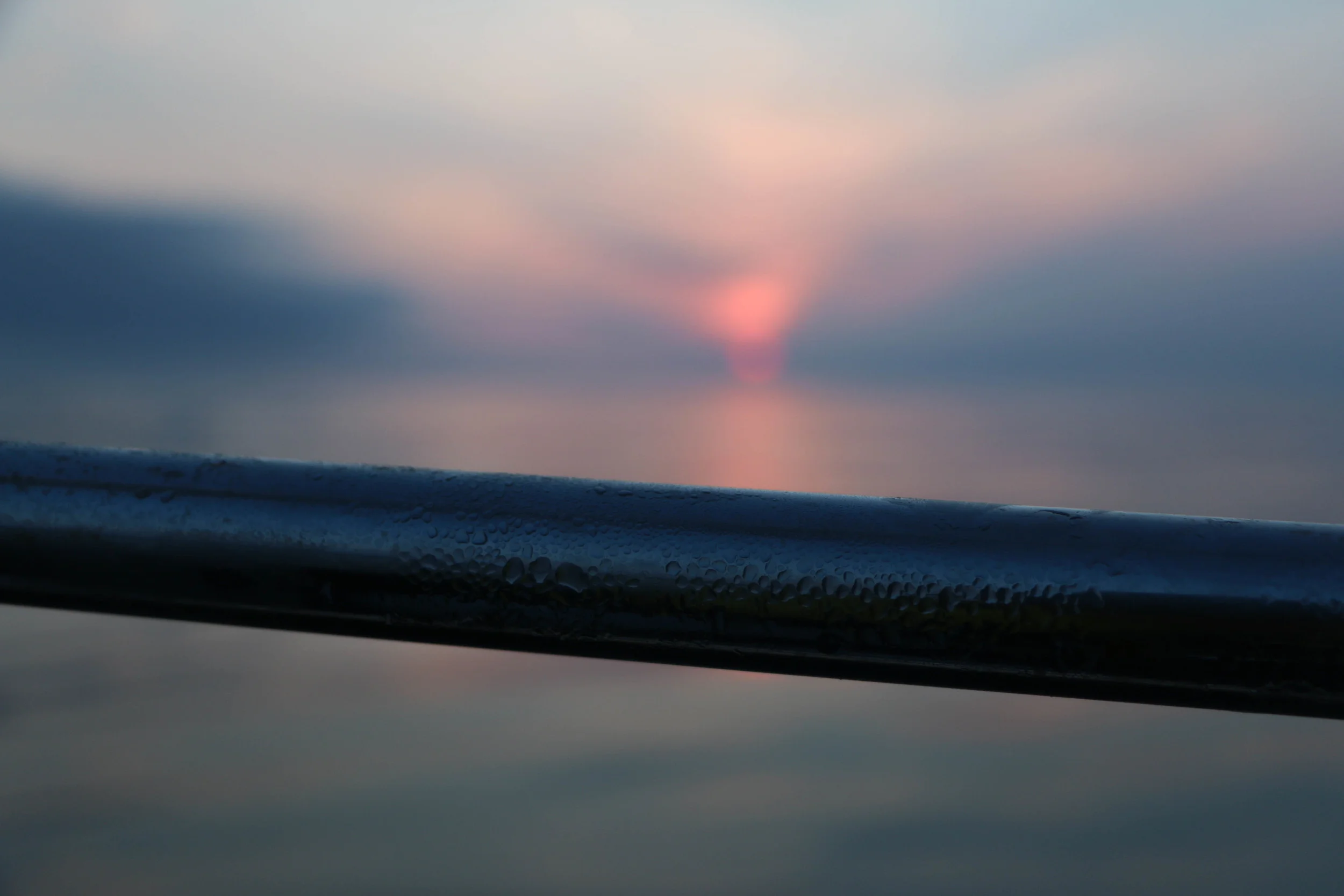 IMG_5748.jpg