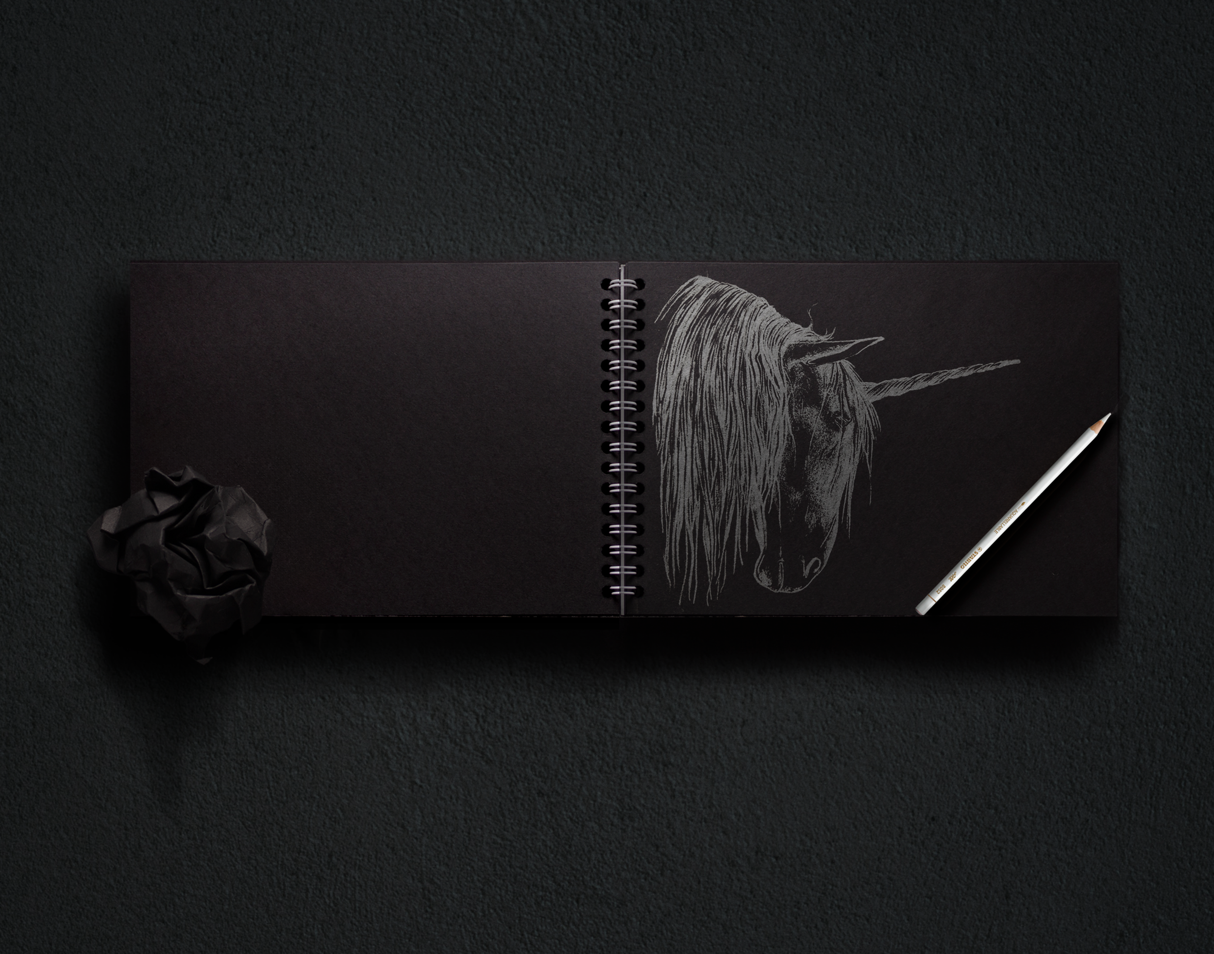 black sketchbook.png