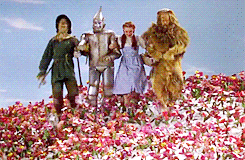 wizard-of-oz.gif