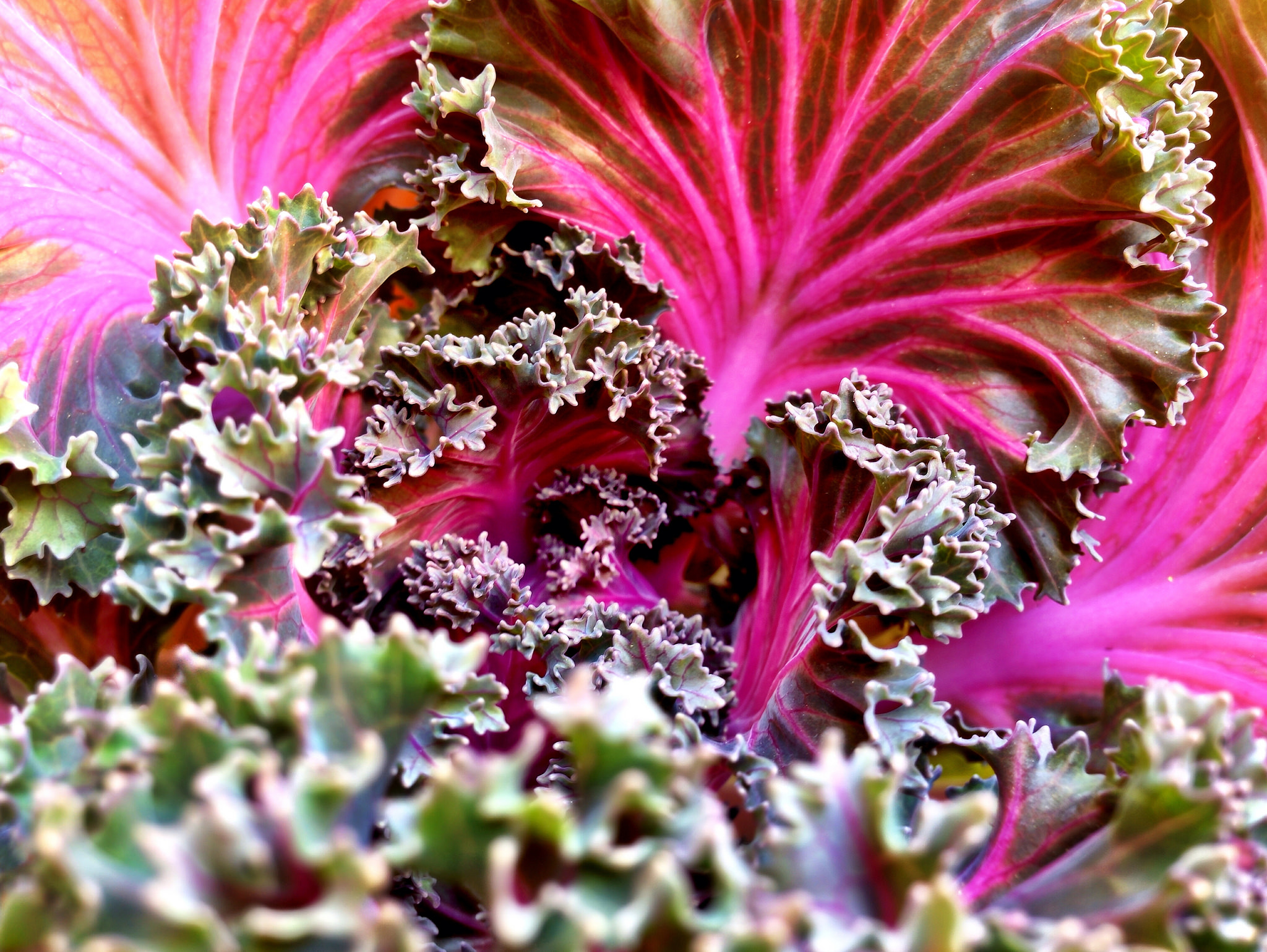 click image to enlarge