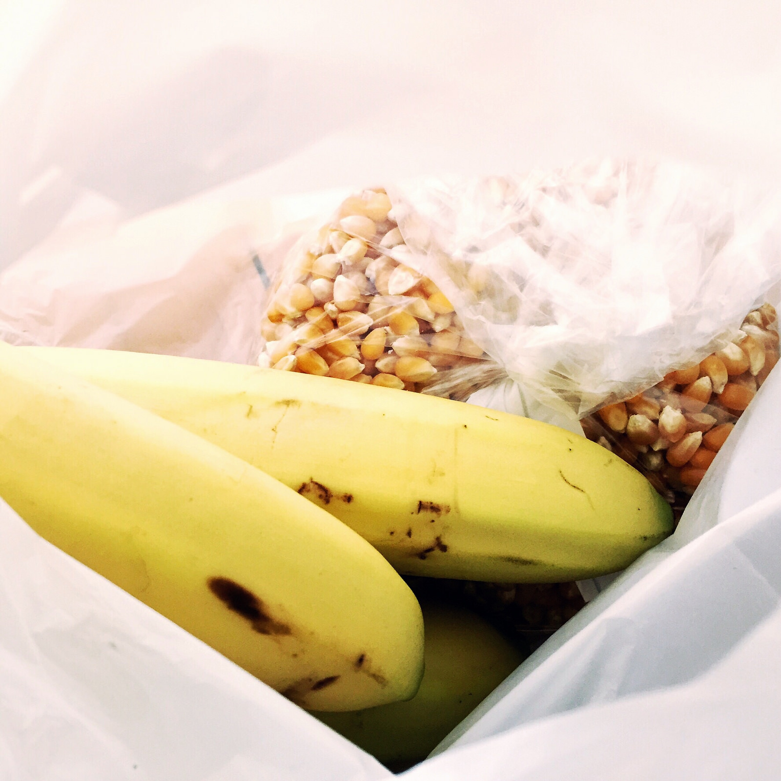 Bananas!