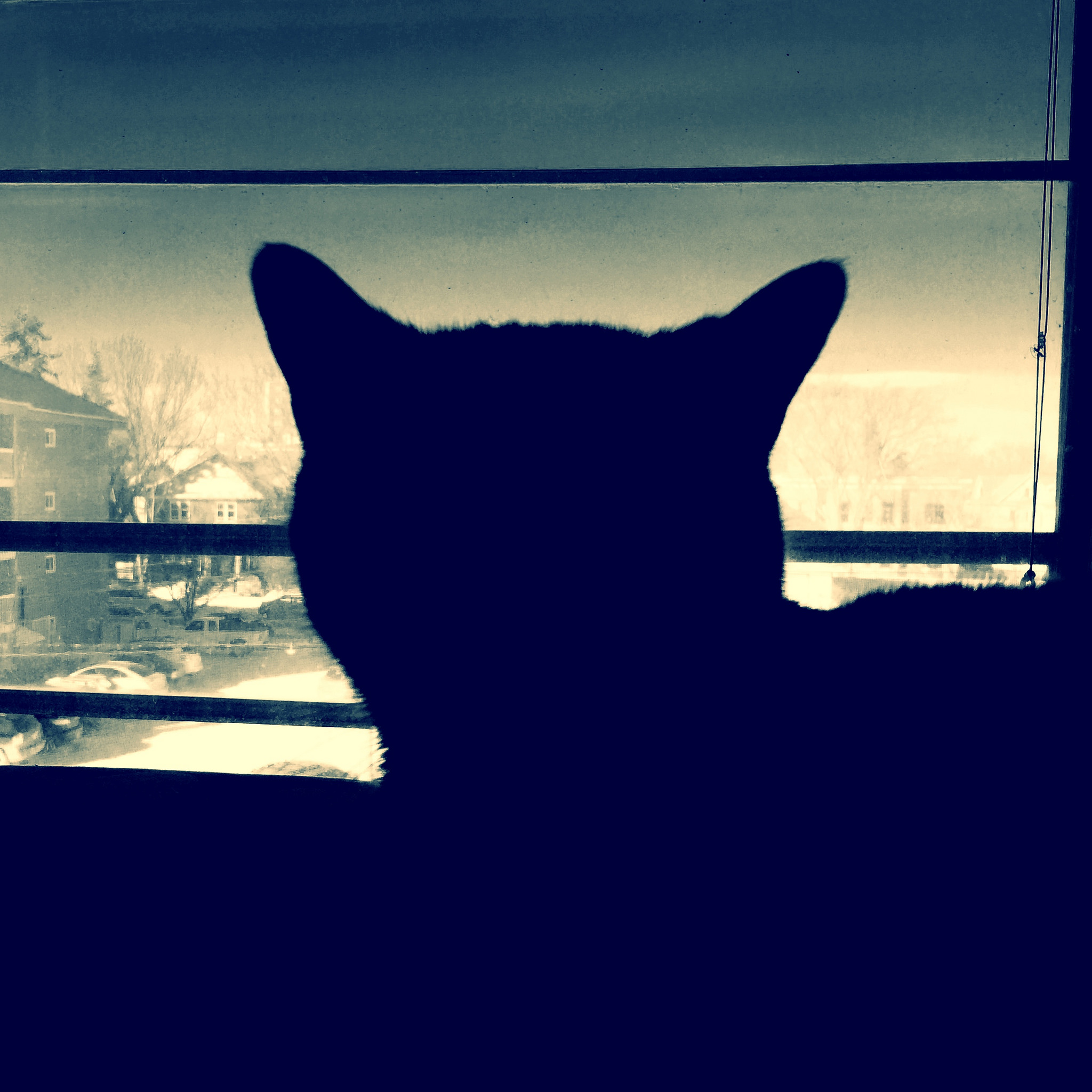 Today, co-worker Oskar is keeping watch for me.