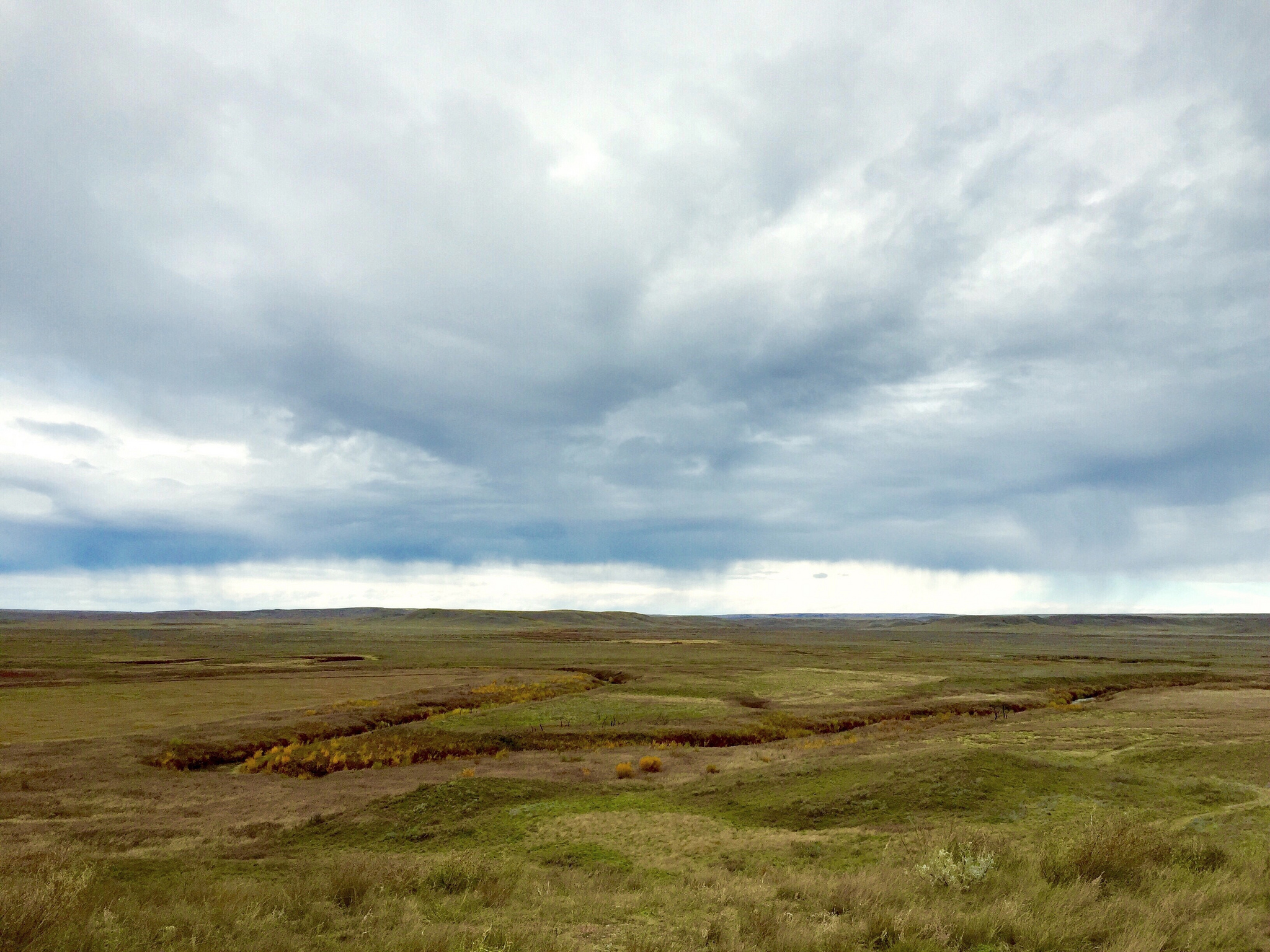 click image to enlarge