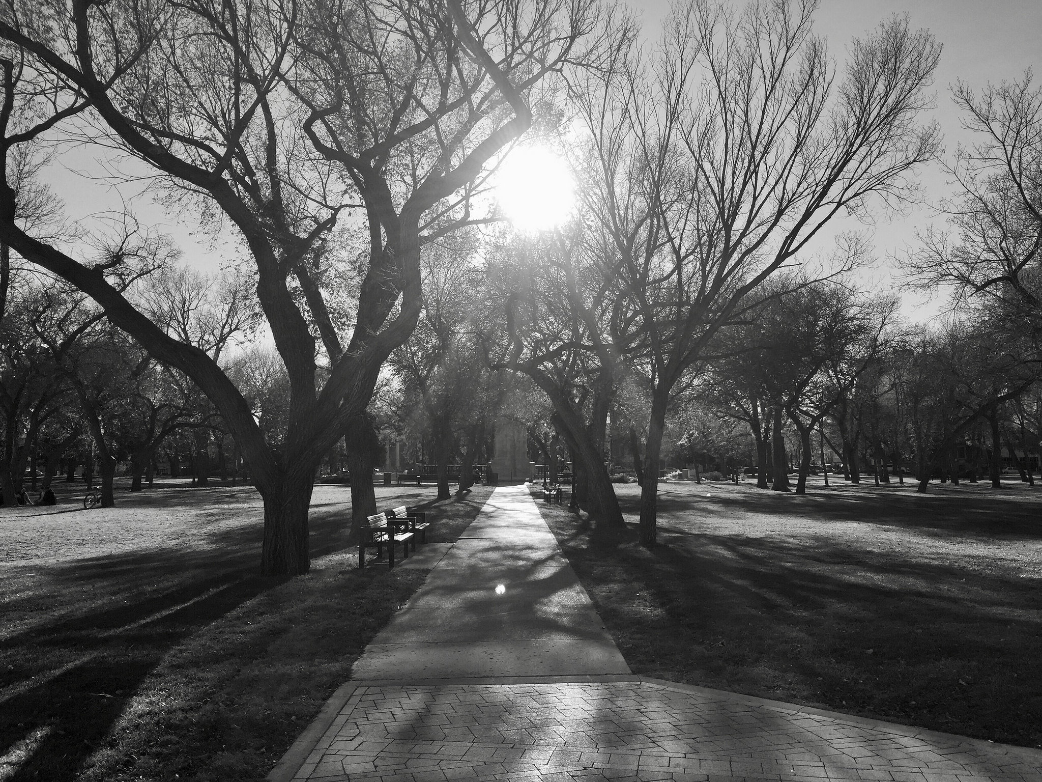 Victoria Park