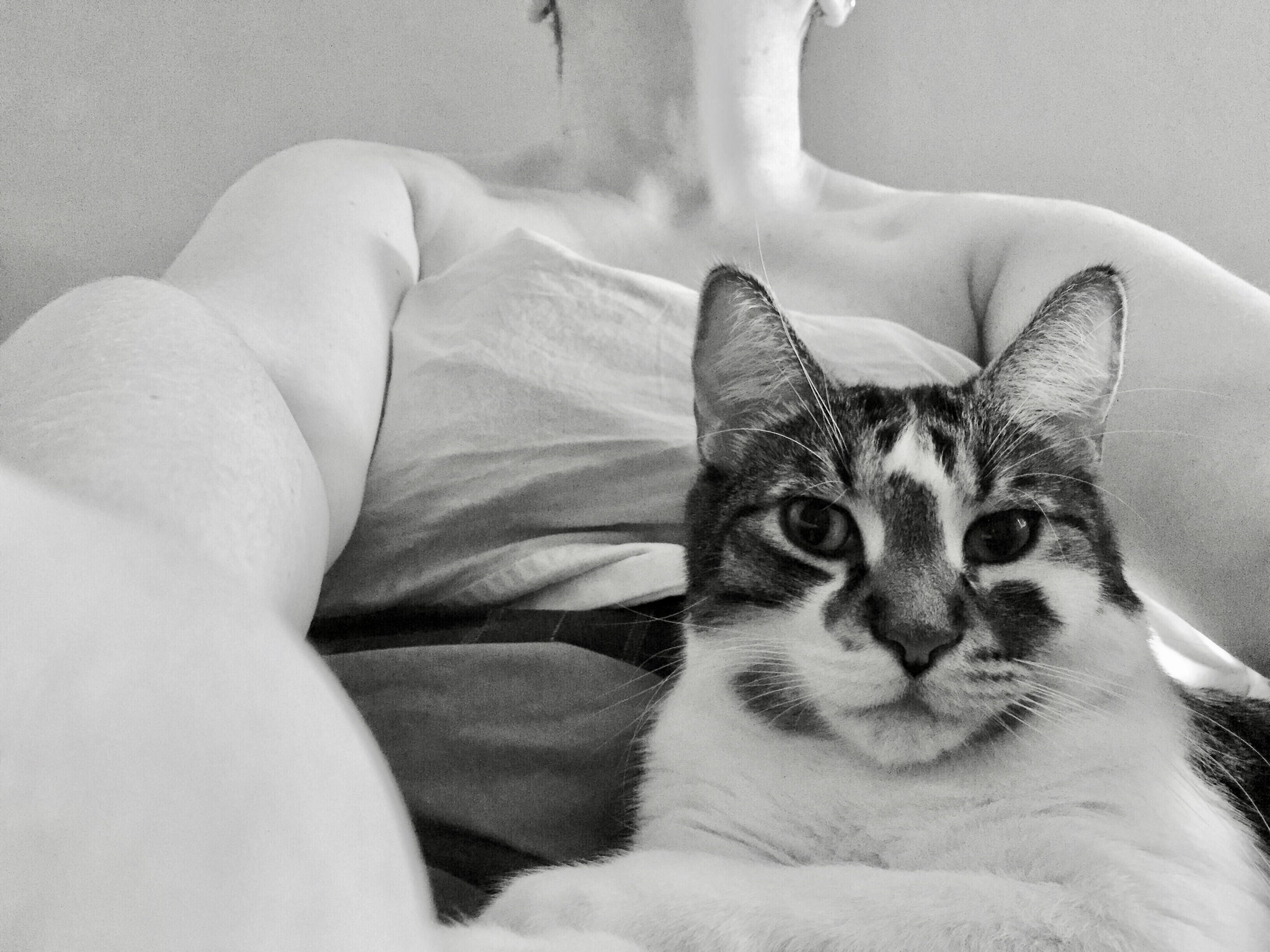 Onion and I