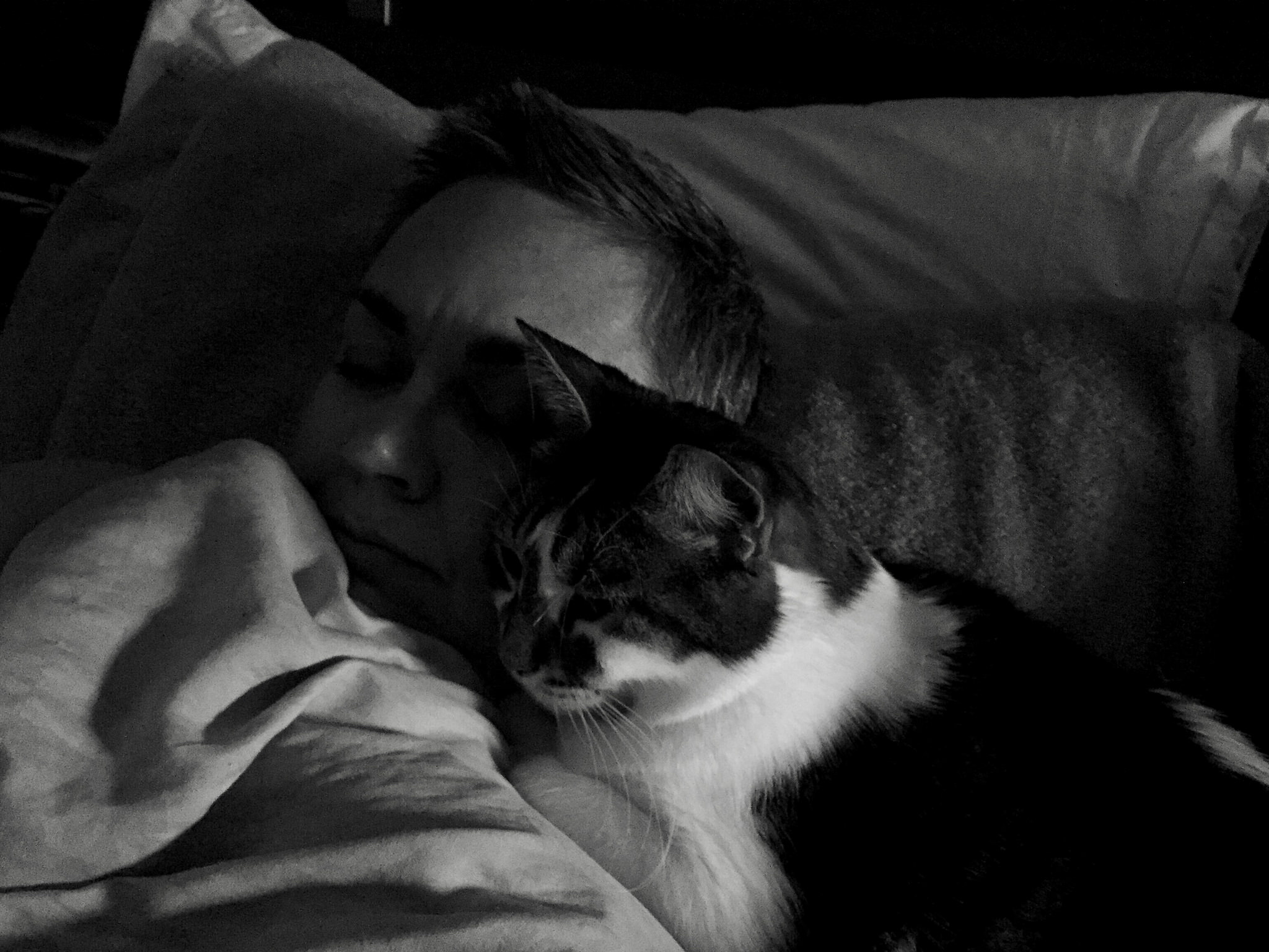 Onion and I in the early hours