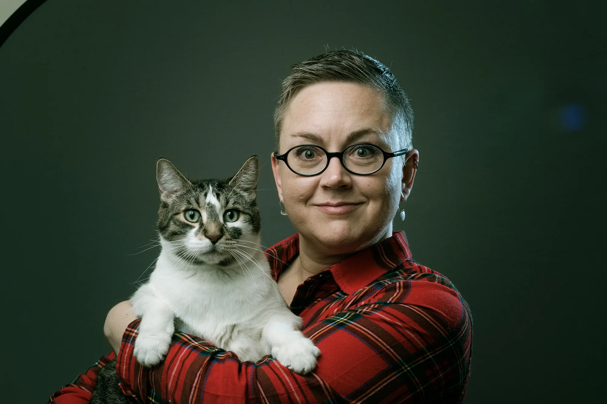 all cats-1.jpg