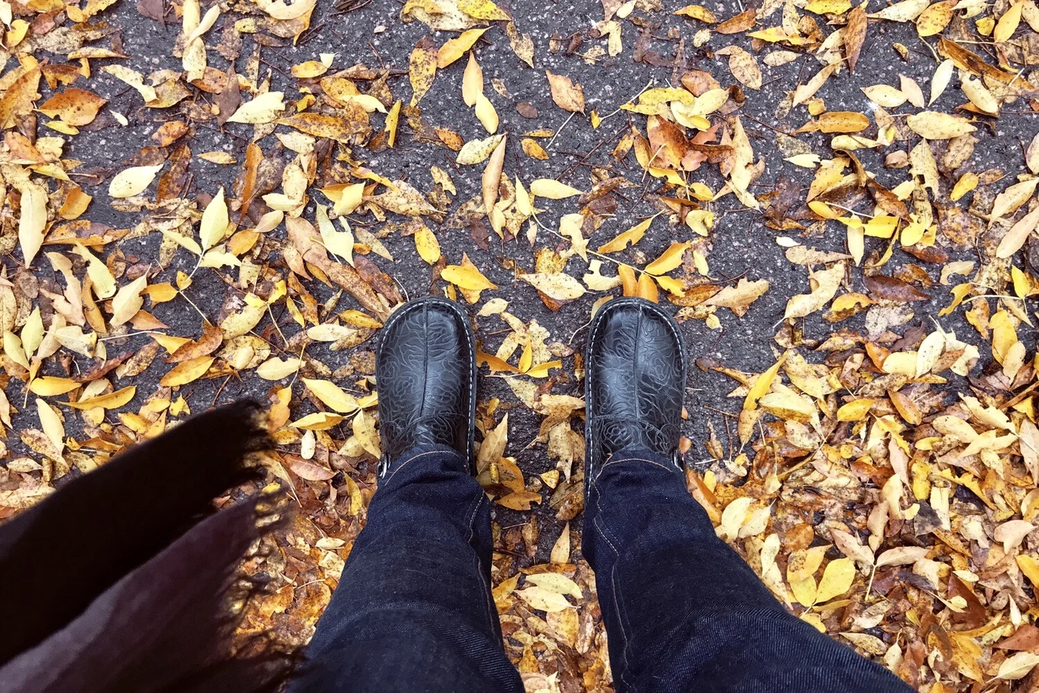 looking down at legs and feet in boots standing on fall leaves on asphalt