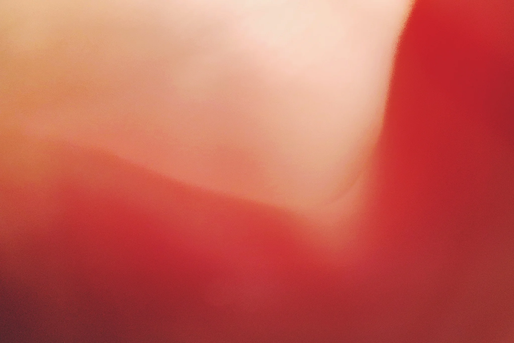 46430166905_ae632d98cf_k.jpg