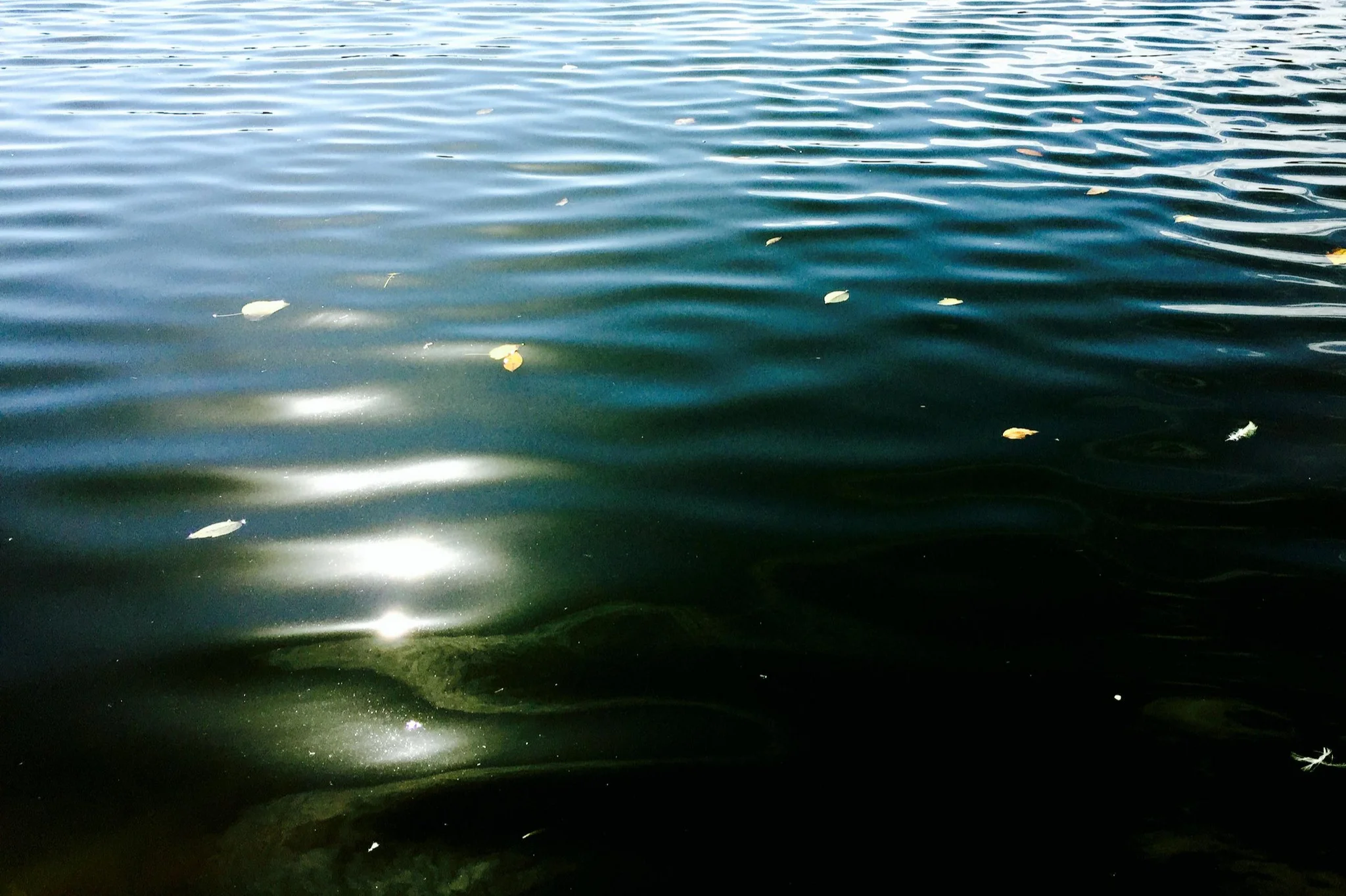 21795592476_f7534260e9_k.jpg