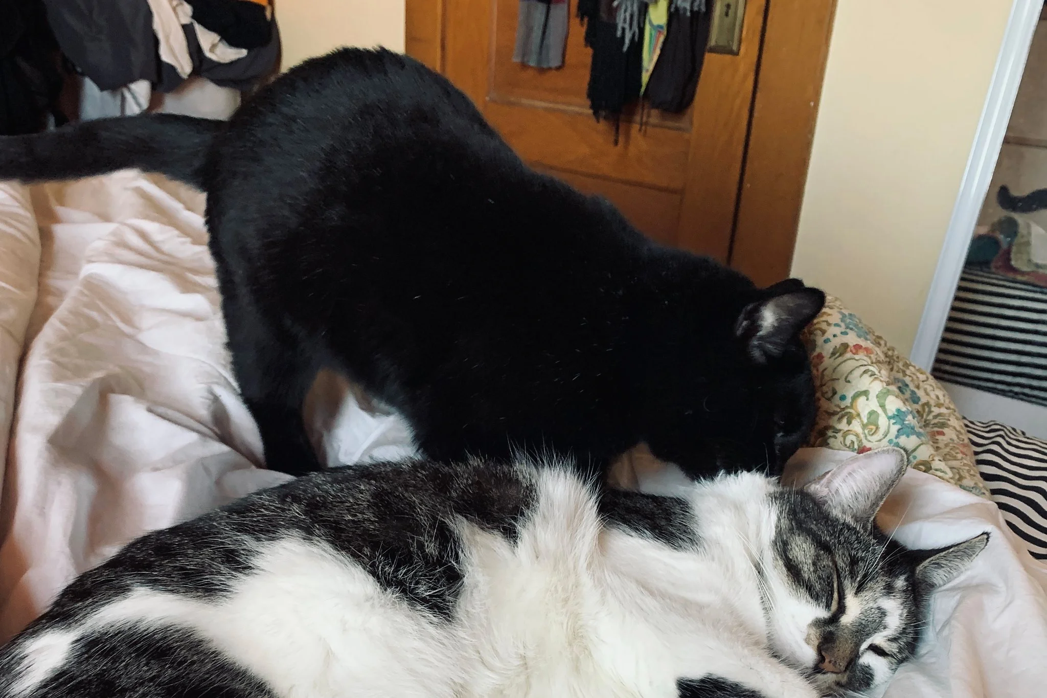 Gratitude List 1116: This One's All About Oskar