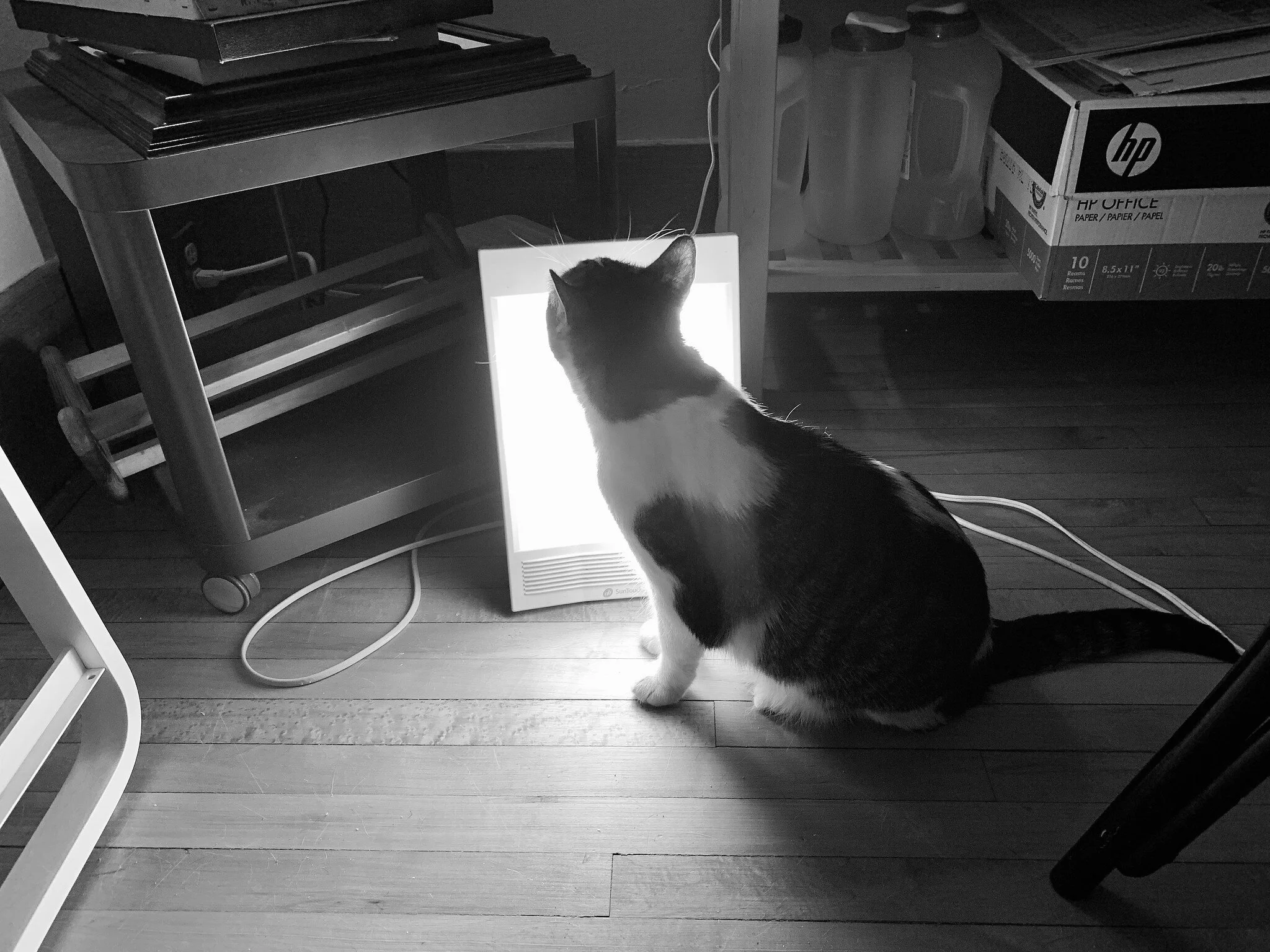 Gratitude List 1120: Writing Poetry, Clacking Radiators, On-Time Xmas Presents, Broccoli with Hummus, and People Who Get It