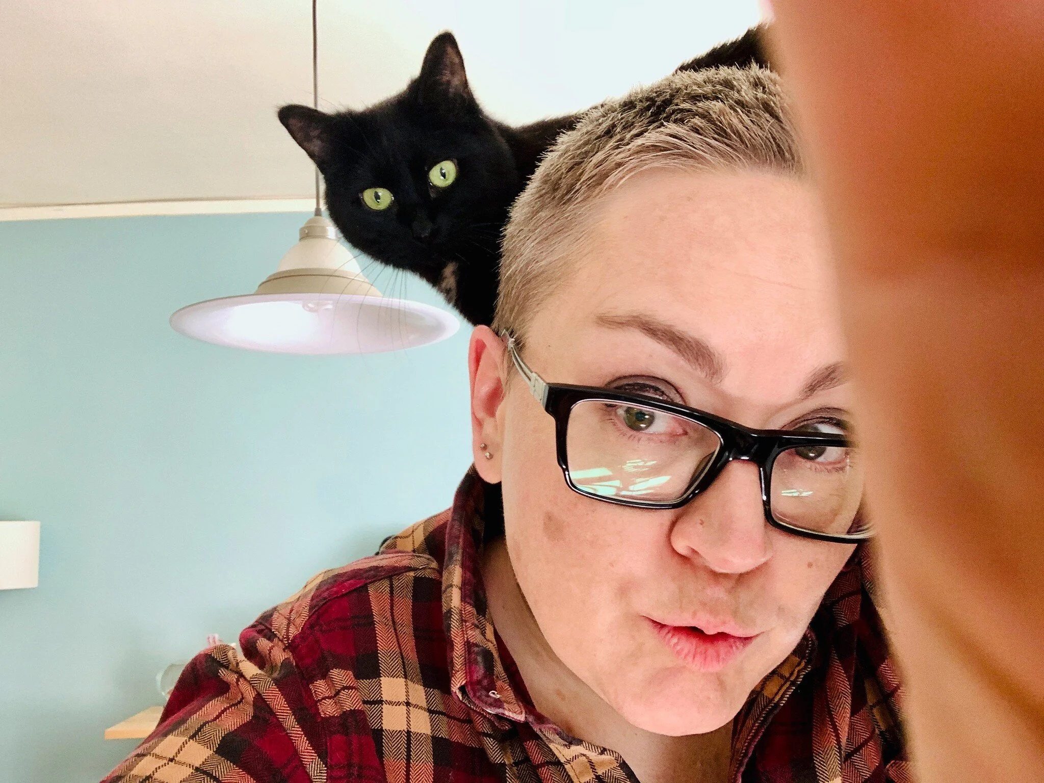 Gratitude List 1123: Lula, Invoicing, Decluttering Again, an Old Movie, and New Glasses