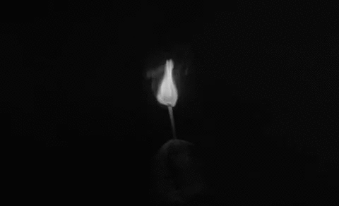 giphy2.gif
