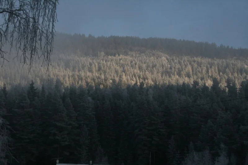 Kald morgen i Åsa