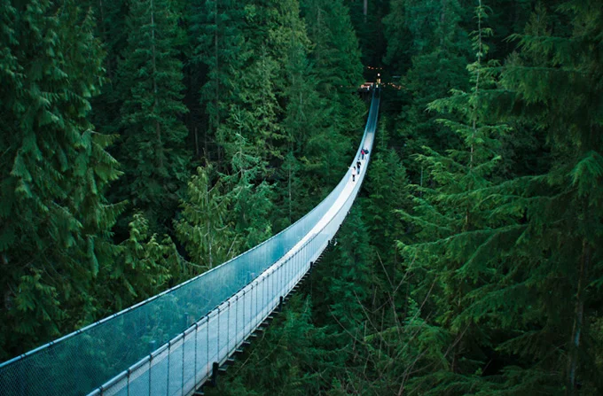 Capilano.Bridge_Vancouver.BC.jpg