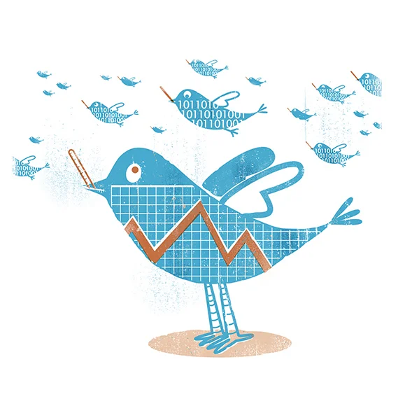 TwitterHealthDataBirds.jpg