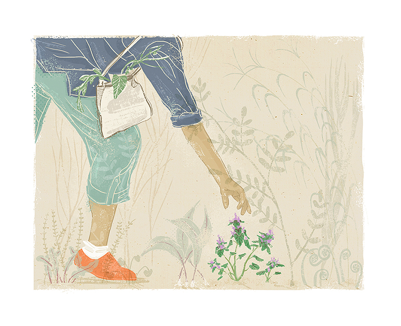 Johns Hopkins: Foraging for taste, health, variety