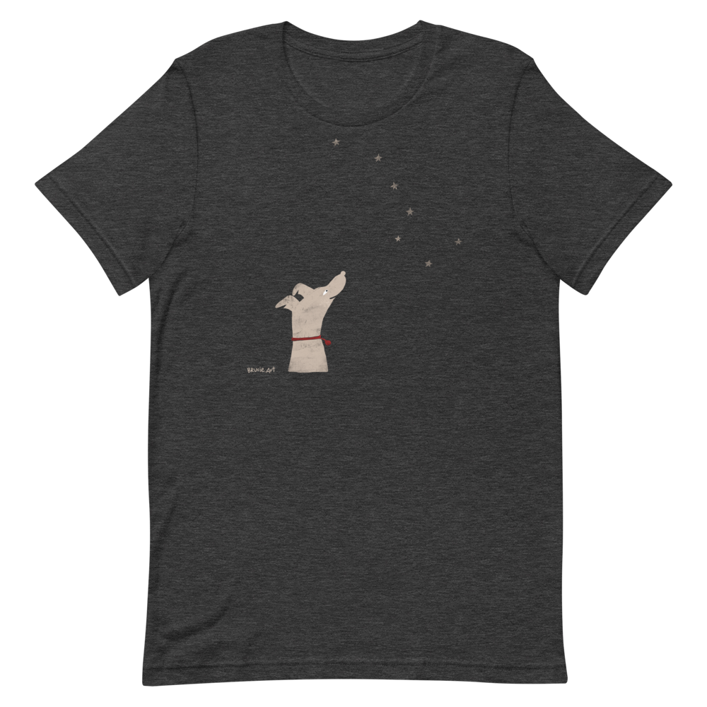 unisex-staple-t-shirt-dark-grey-heather-front-60f9d3b4843de.png